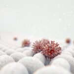 a microscopic close up view of a simple woven textile and a visible red coronavirus particle - 3d render
